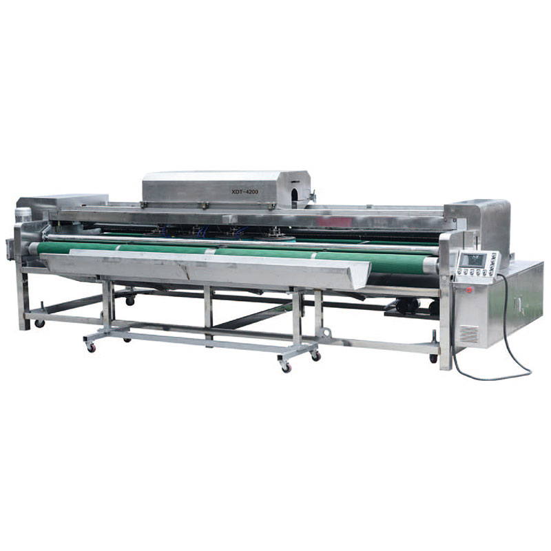 XDT Series Carpet Washing Machine